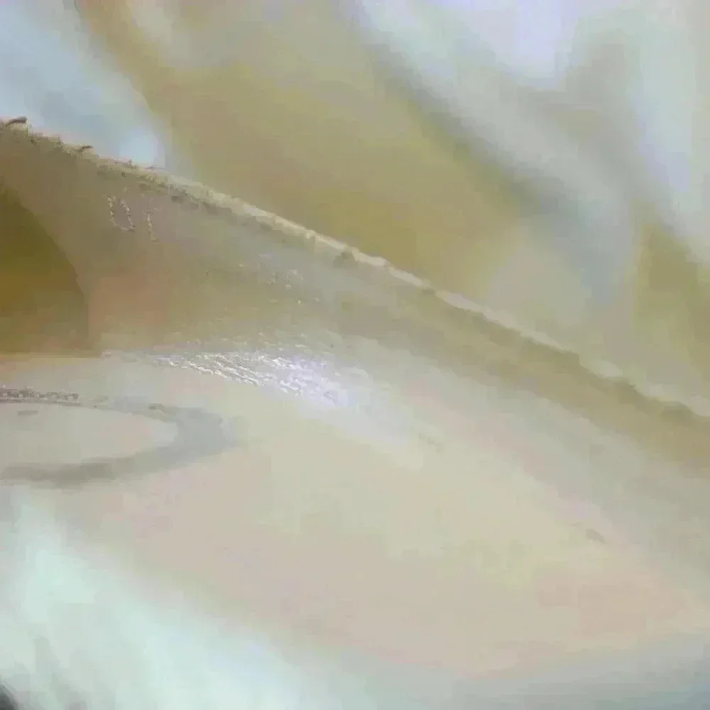 Christian Dior boho python pumps - Picture 5 of 6